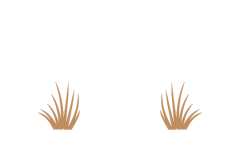 Aim Real Estate